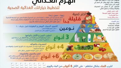 كيف نحصل علي عناصر التغذية السليمة للجسم والحاجة اليومية منها