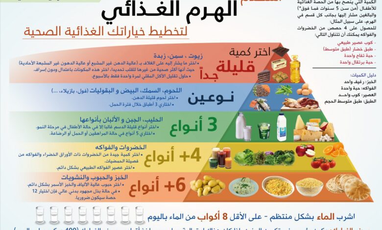 كيف نحصل علي عناصر التغذية السليمة للجسم والحاجة اليومية منها