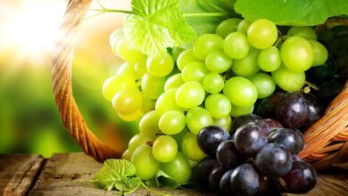 العنب فاكهة مميزة وغنية بالفوائد الصحية ستتعجبي منها
