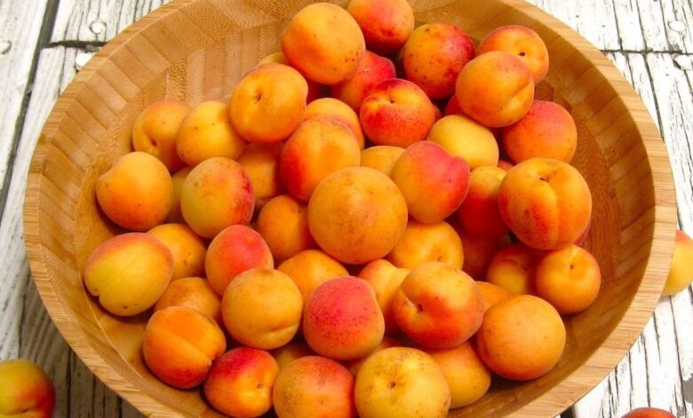 الطعام وعناصره الغذائية وطرق تحضيره - المشمش