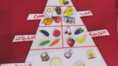 كيف تعلمي طفلك ما هو مفيد وما هو ضار في الطعام
