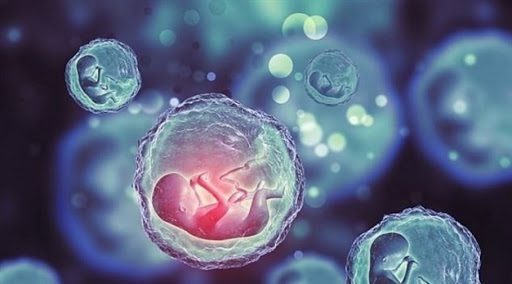 أسباب ضعف التبويض وتاخر الانجاب وخطوات العلاج