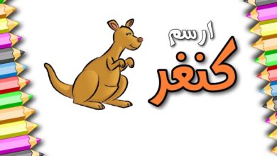 تعليم الطفل رسم الكنغر