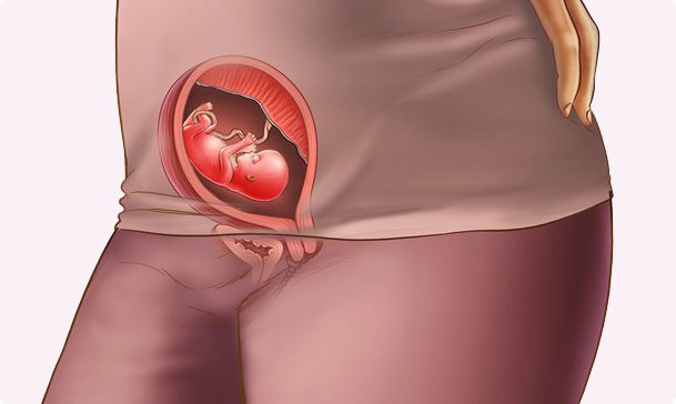 الاسبوع الثالث عشر من الحمل