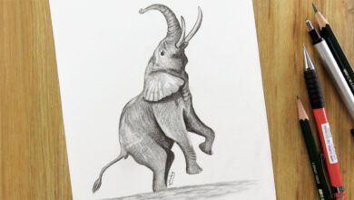 طريقة رسم الفيل