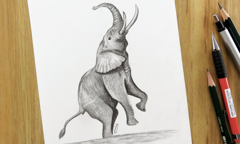 طريقة رسم الفيل