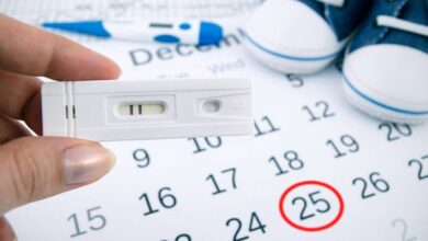 مرحلة ماقبل الحمل والإخصاب