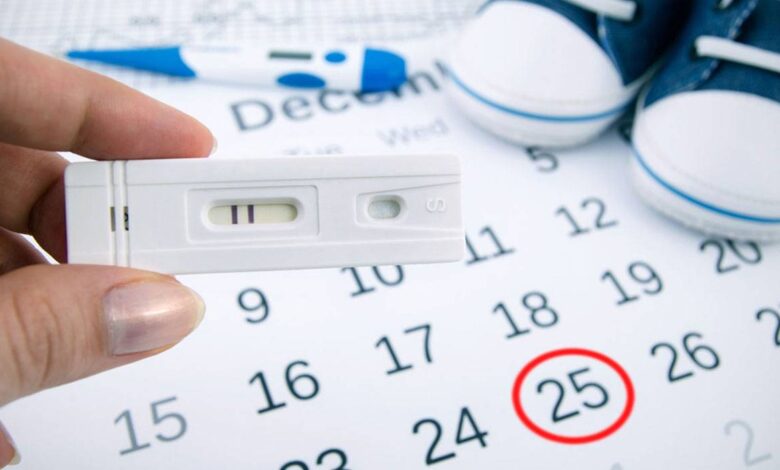 مرحلة ماقبل الحمل والإخصاب