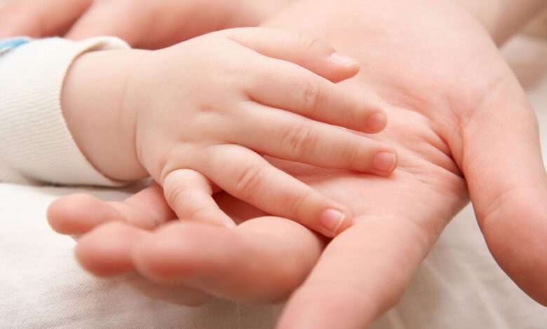 وصفات لعلاج تاخر الحمل وضعف المبايض وهرمون الحليب