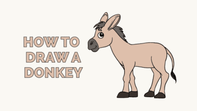 تعليم الطفل طريقة رسم الحمار
