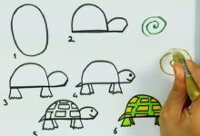 كيفية رسم سلحفاة بطريقة بسيطة بالصور