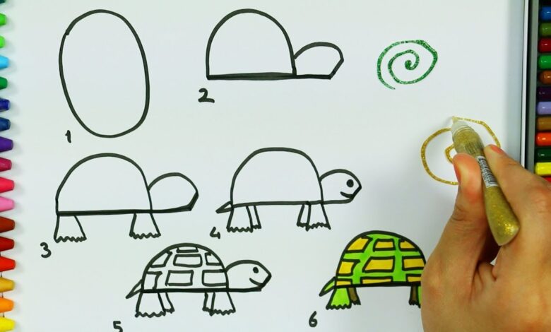 كيفية رسم سلحفاة بطريقة بسيطة بالصور