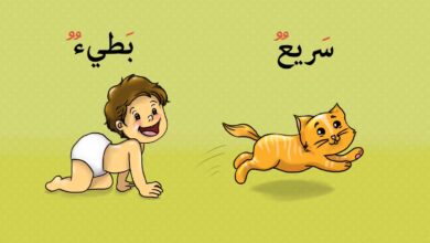 تعليم الطفل الكلمة وعكسها