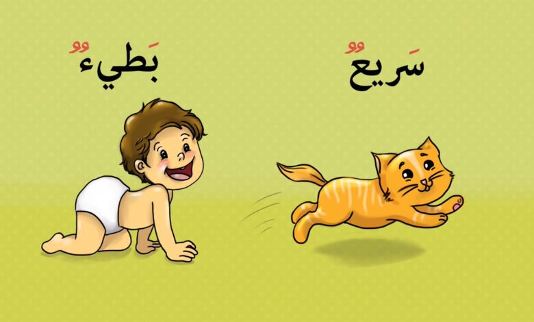 تعليم الطفل الكلمة وعكسها