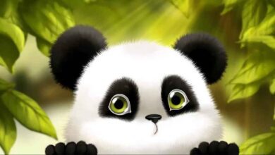 نزهة بندون قصة تعلم الطفل ان يحافظ على سلامته