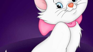 تعليم الاطفال الرضا بقصة القطة الحيرانة