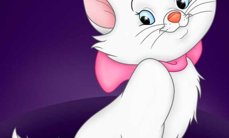 تعليم الاطفال الرضا بقصة القطة الحيرانة