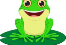 قصة لتعليم الطفل عدم الفزع