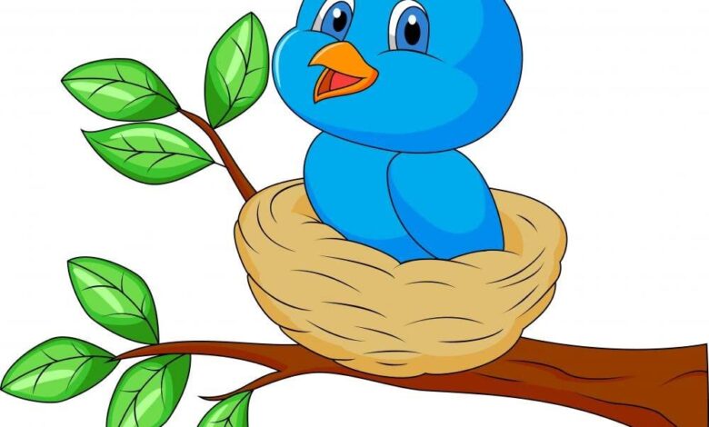 صوصو الكسول قصة تعليم الطفل اهمية الرياضة والحركة