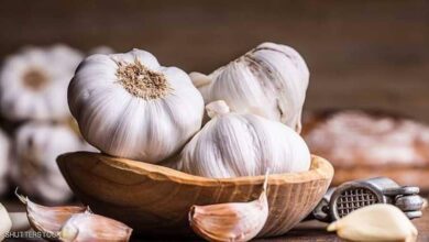 الثوم لعلاج الفطريات الجلدية والفطريات المعوية والنسائية