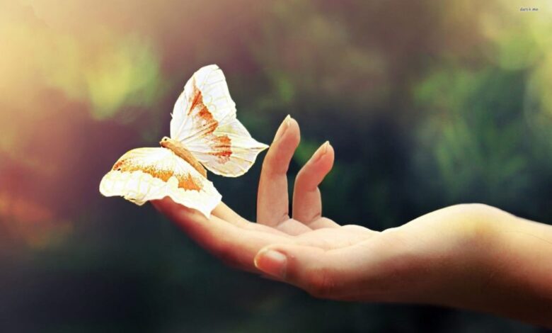 الحياة السعيدة