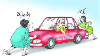 التعامل مع تدخل الحماة في الحياة الزوجية