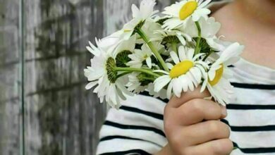 اخرج المشاعر الحلوة وتعلم أن تعيش الحياة بأبتسامة