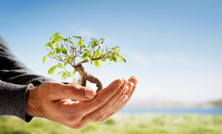 راقب حياتك فإن ما تزرعه ستحصده