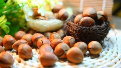 فوائد الكستناء للصحة ( أبو فروة )