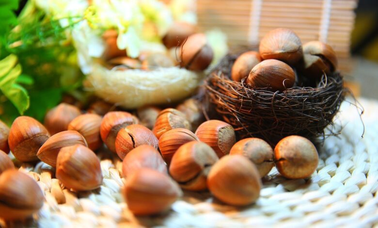 فوائد الكستناء للصحة ( أبو فروة )