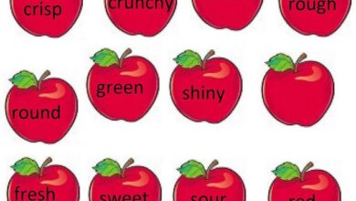 شرح درس الصفة Adjective في الإنجليزية بالتفصيل