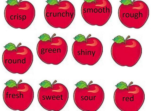 شرح درس الصفة Adjective في الإنجليزية بالتفصيل