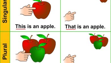 قواعد الجمع والمفرد Singular and plurals في اللغة الانجليزية