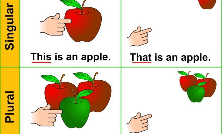 قواعد الجمع والمفرد Singular and plurals في اللغة الانجليزية