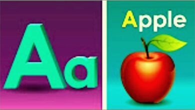 متى يكون الحرف capital او small فى الإنجليزية